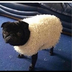 Meet your Posher, Kenny