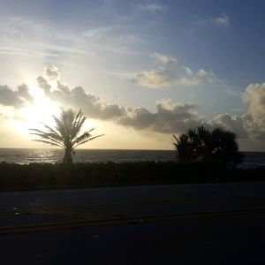 Meet your Posher, Samuel