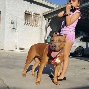 Meet your Posher, Rafael