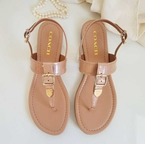 coach cassidy t strap sandal