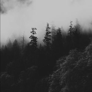 Meet your Posher, Maurice