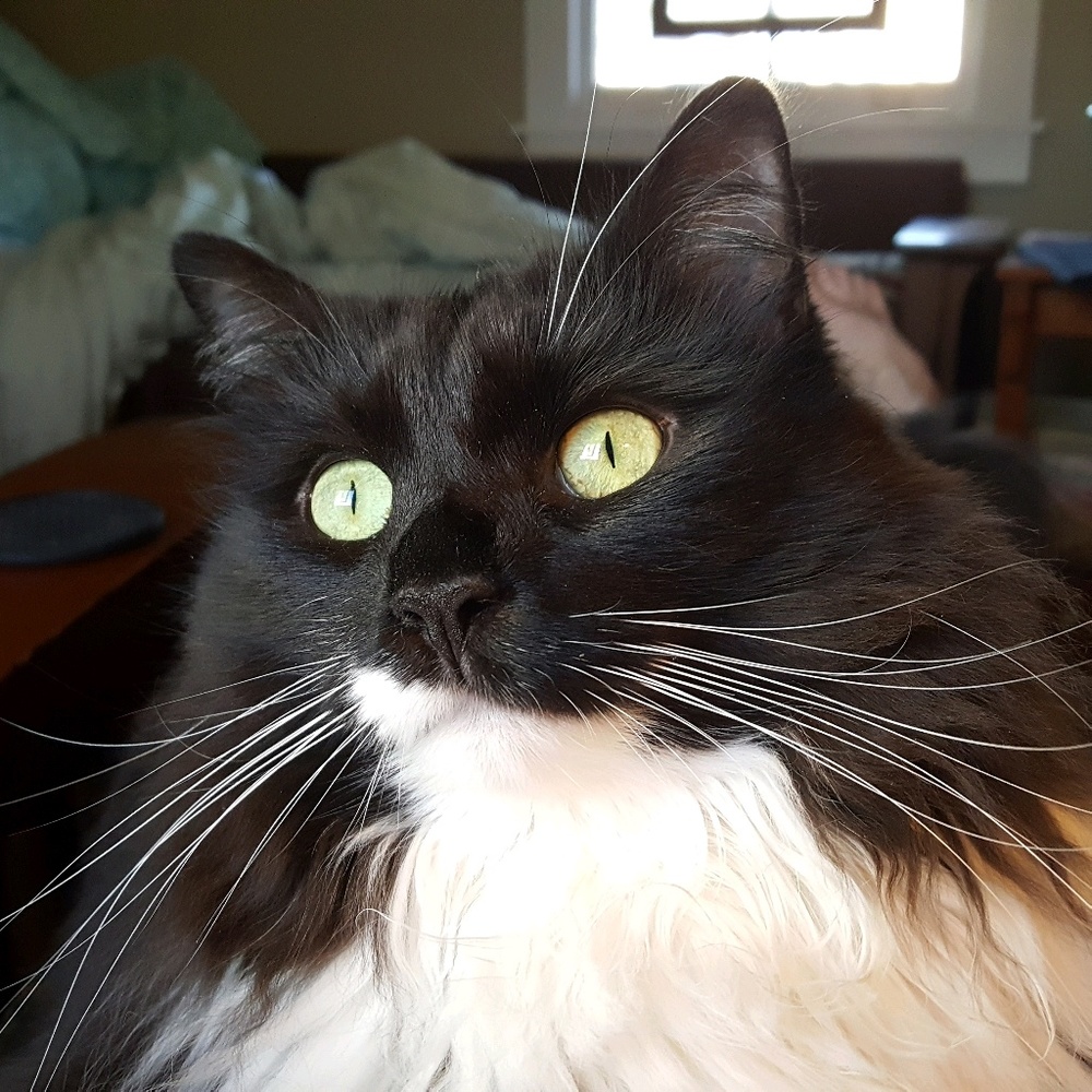 Meet your Posher, Christel