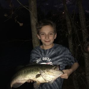 Meet your Posher, Colin