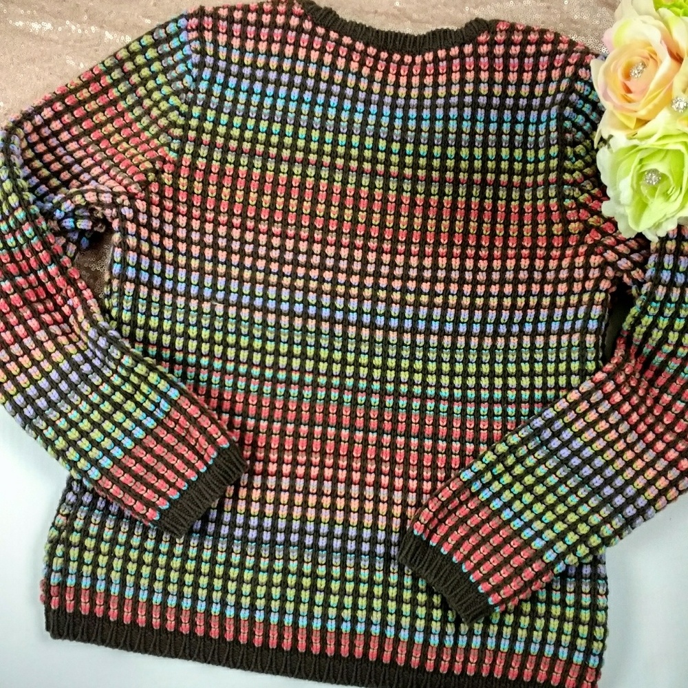 Liz Claiborne Multi-colored Knitted Sweater