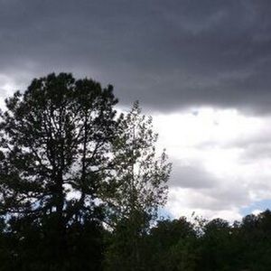 Meet your Posher, Abigail