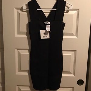 LF Seek Bodycon Dress- Size Small