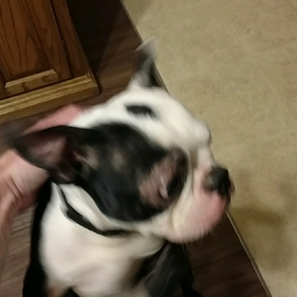 Meet your Posher, David - Picture 1 of 1