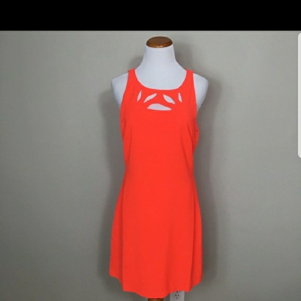 CUTE DRESS-BNWT!