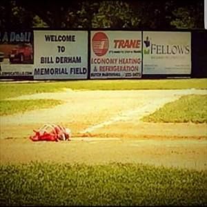 Meet your Posher, Jake