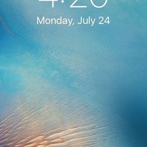 Meet your Posher, Zachary