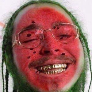 Meet your Posher, Lacy