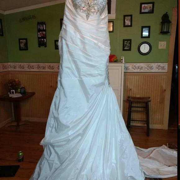 David's Bridal Wedding Dress - Picture 4 of 6