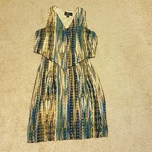 Lennie for Nina Leonard Dress