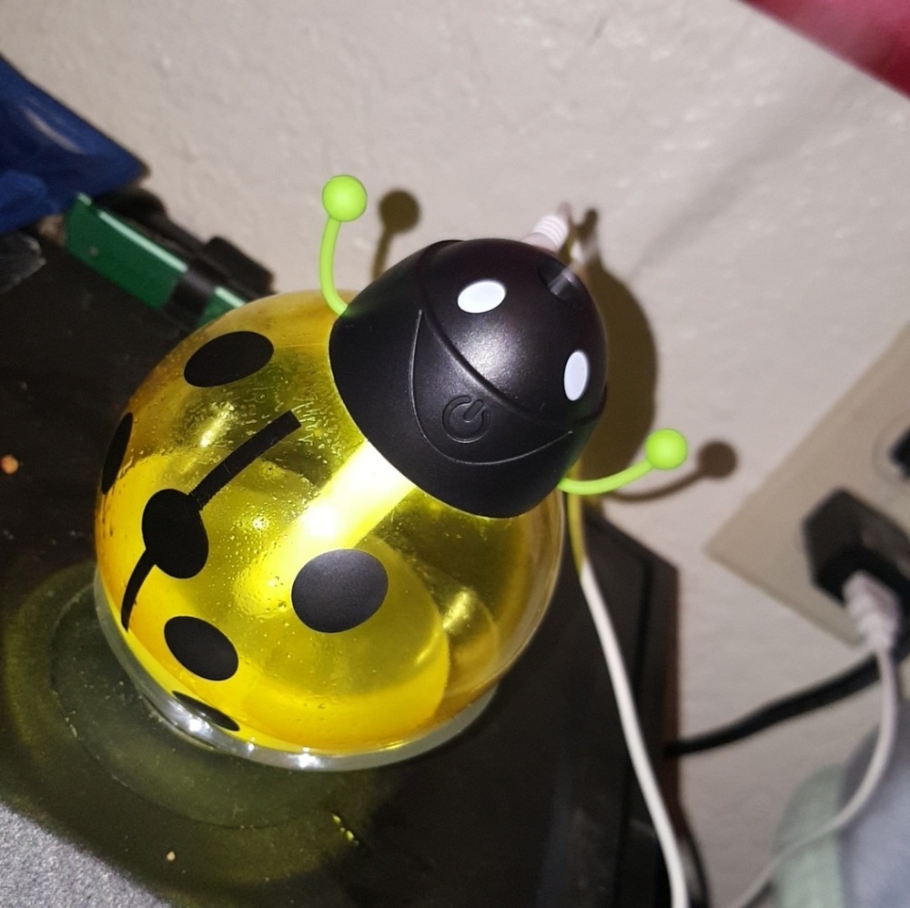 Diffuser - Picture 4 of 4