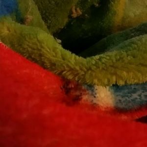 Meet your Posher, Dylan