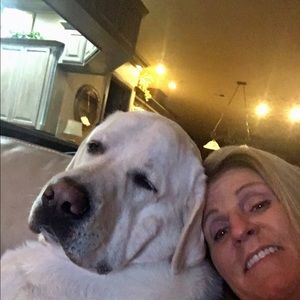 Meet your Posher, Luann