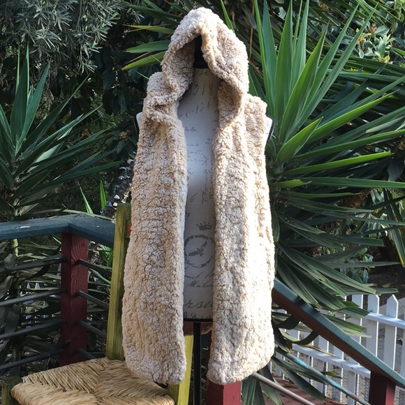New! Cozy Faux Fur Hoodie Vest - Picture 3 of 6
