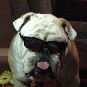 Meet your Posher, Brian