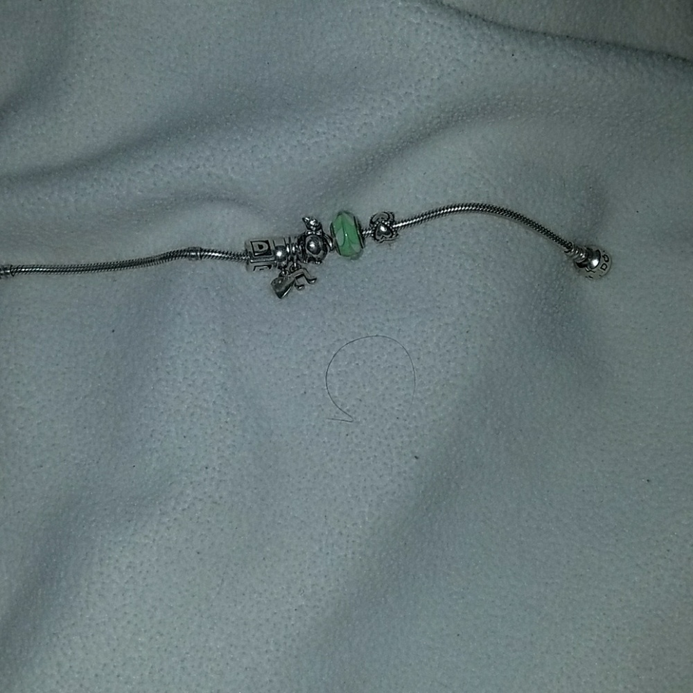 Pandora Bracelet and Charms