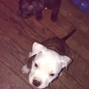 Meet your Posher, Kendice