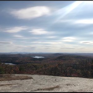 Meet your Posher, Pat