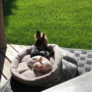 Meet your Posher, Misty