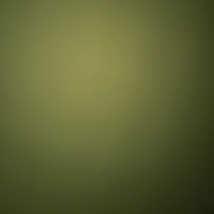 Meet your Posher, Nay