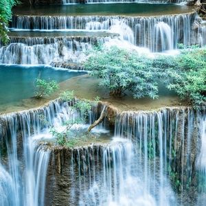 Meet your Posher, Latonya