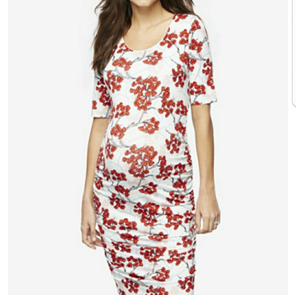 Pea in the pod maternity dress