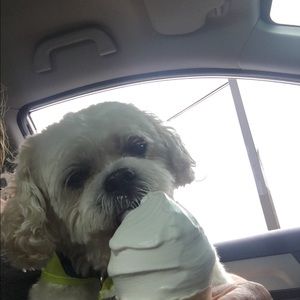 Meet your Posher, Mary