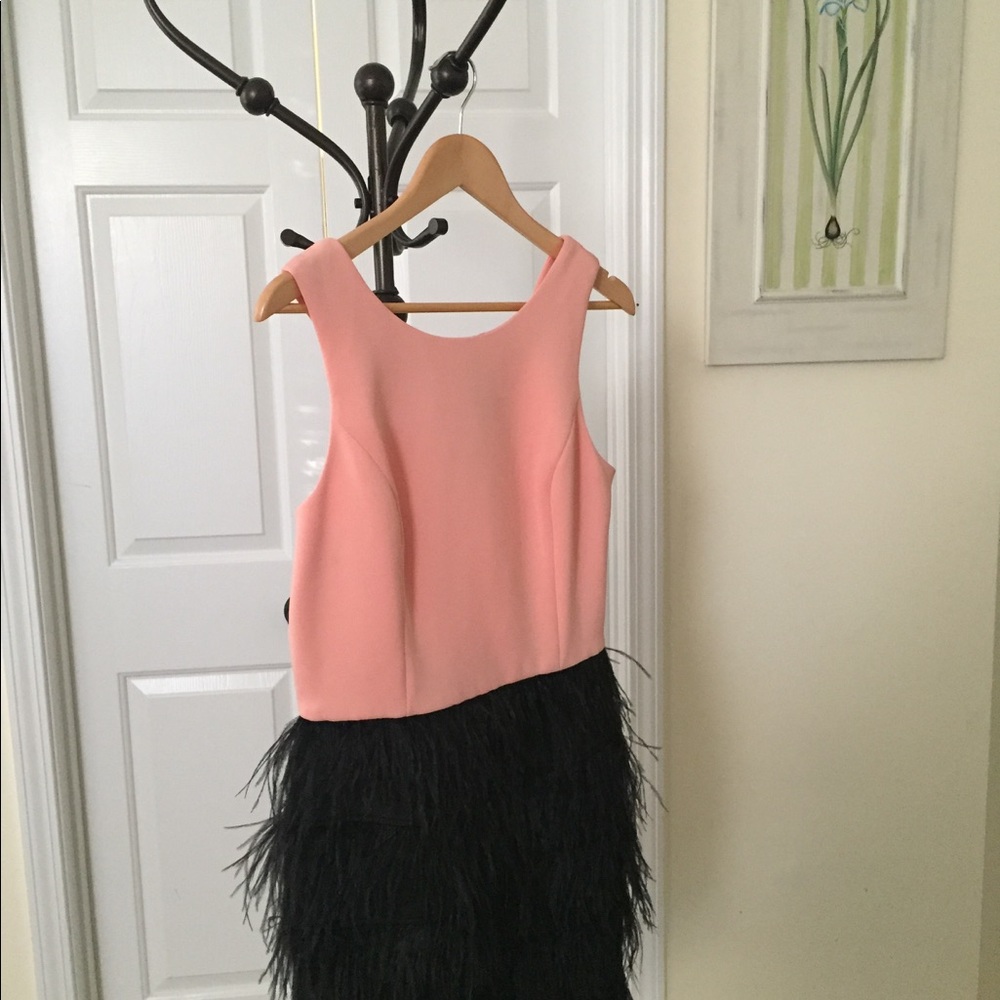 Pink, feather party dress. Never Worn