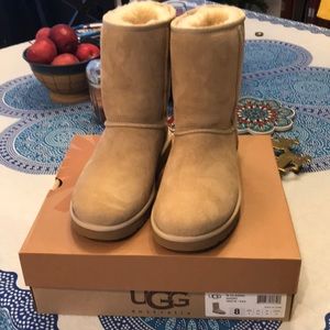 UGGS classic short