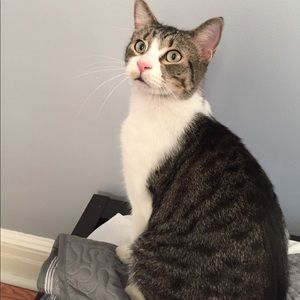 Meet your Posher, Amy