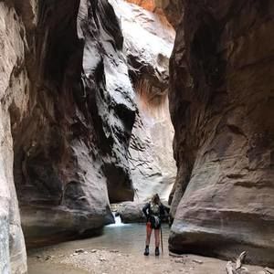 Meet your Posher, Lexi