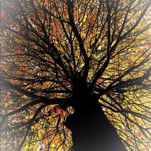 Meet your Posher, Hunter