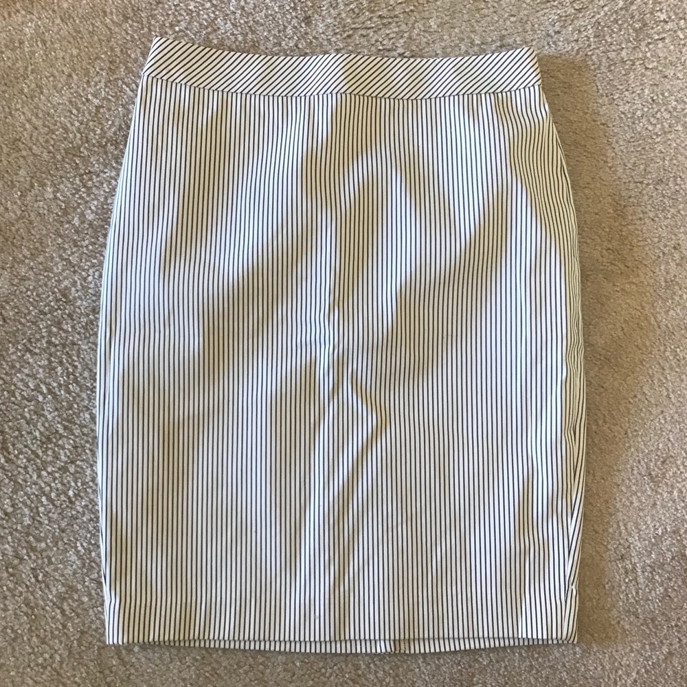 NWT Ann Taylor Skirt