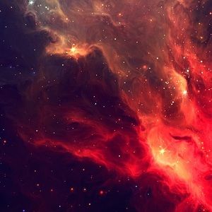 Meet your Posher, Perry