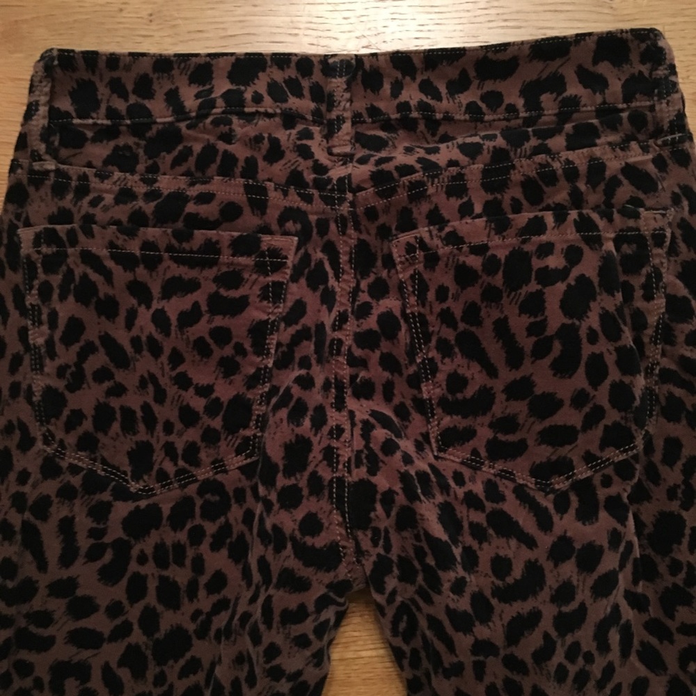 LOFT velvet leopard pants