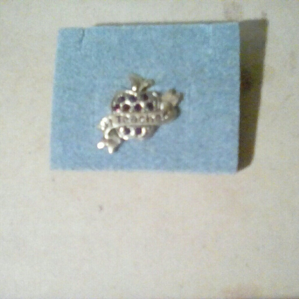 Avon #1 Teacher pin