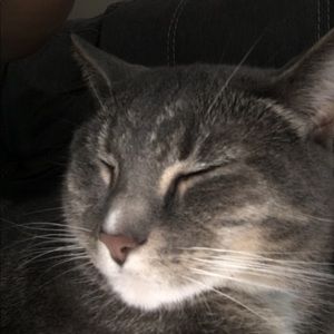 Meet your Posher, Joanna