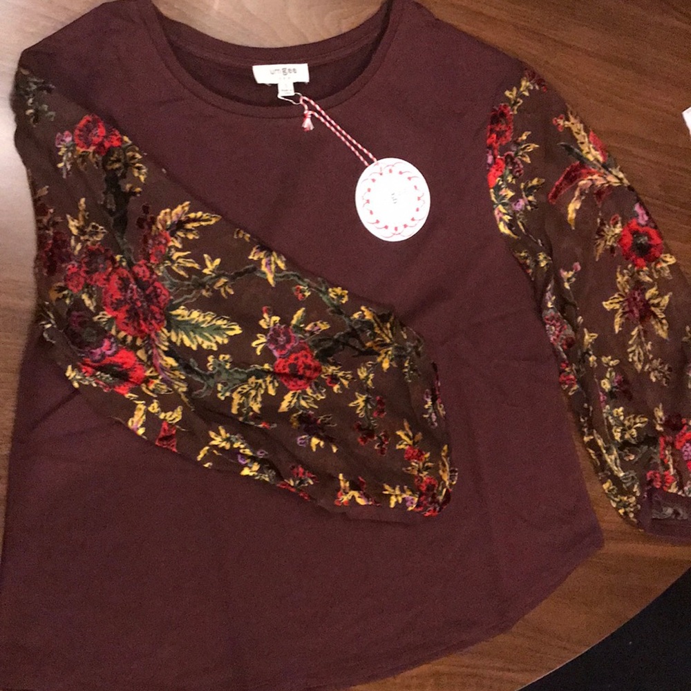 M•LAST ONE Blouse Sheer Long Velvet Balloon Sleeve - Picture 3 of 8