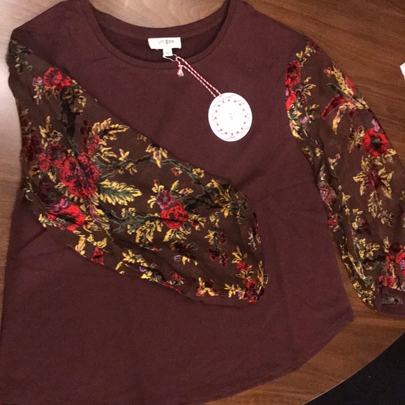 M•LAST ONE Blouse Sheer Long Velvet Balloon Sleeve - Picture 3 of 8