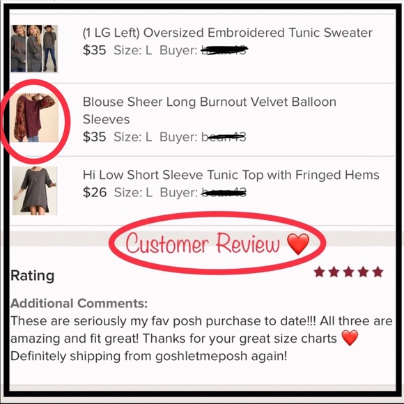 M•LAST ONE Blouse Sheer Long Velvet Balloon Sleeve - Picture 5 of 8