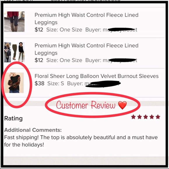 M•LAST ONE Blouse Sheer Long Velvet Balloon Sleeve - Picture 7 of 8