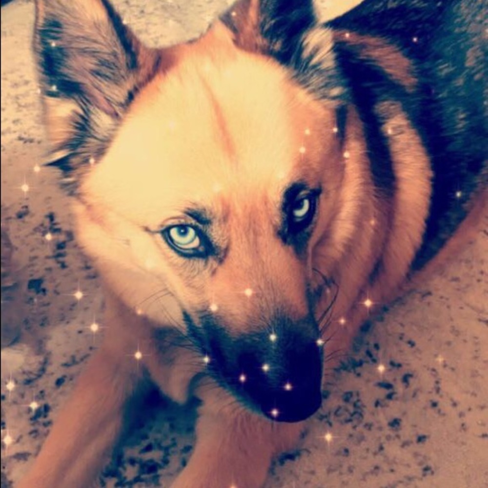 Meet your Posher, Shea