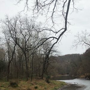 Meet your Posher, Dylan