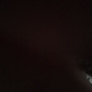 Meet your Posher, Alexia