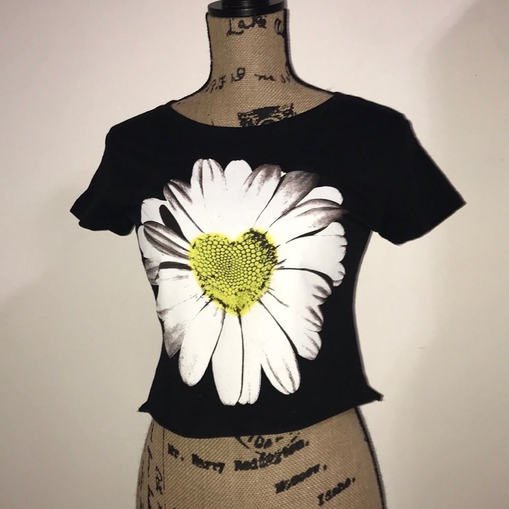 Dandelion crop top