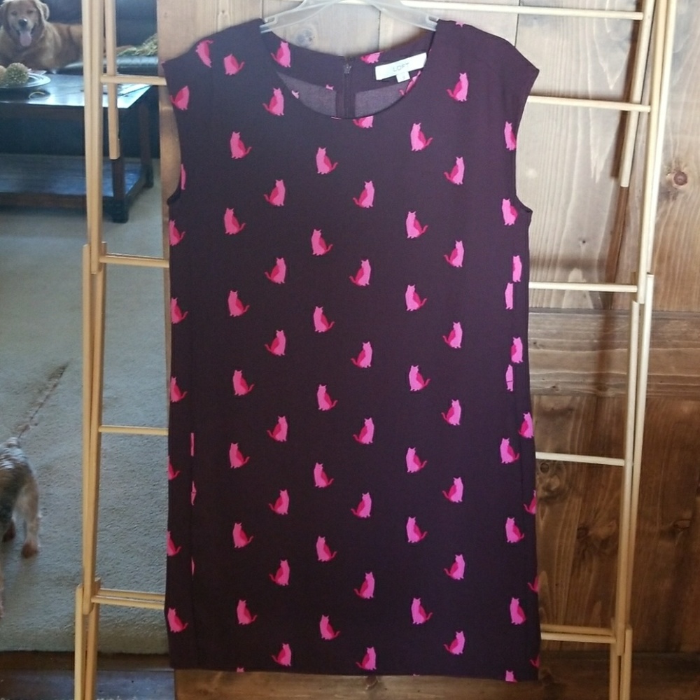 LOFT CAT DRESS