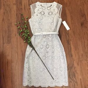 Maggy London dress